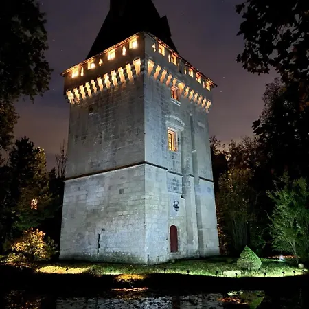 Donjon De - 6 Adultes 3 Enfants - Monument Historique *