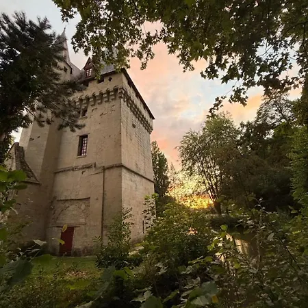 Donjon De - 7 Adultes 3 Enfants - Monument Historique Дом отдыха Saintines